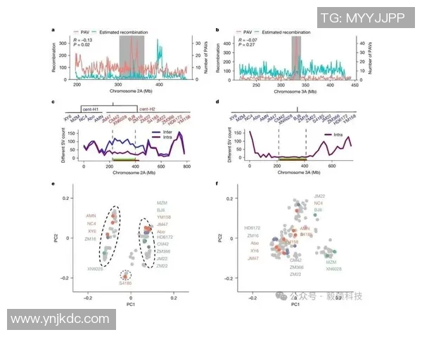 成都滑板队节奏表现数据分析揭示运动员训练与比赛的关键因素