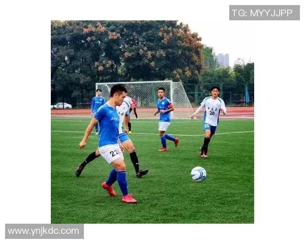 成都足球队运营分析：成功经验与教训的深度剖析与反思