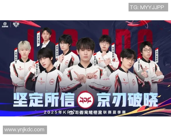 王者荣耀深度解析：JDG战队意识与团队协作的成功之道