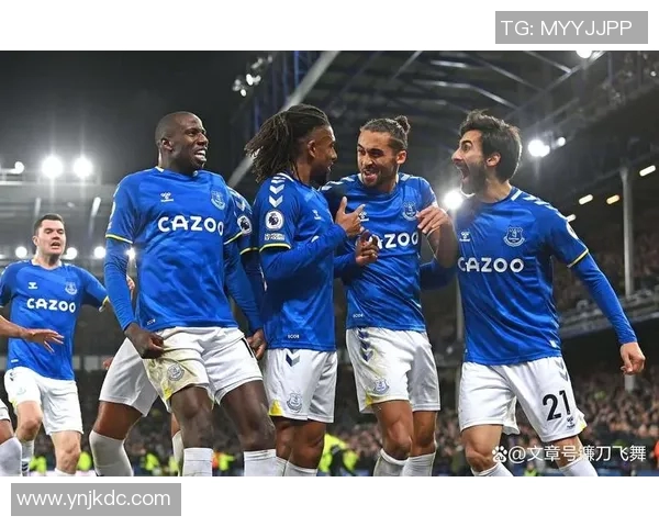 埃弗顿对阵西汉姆直播全程回顾与精彩瞬间分析