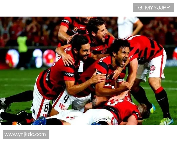 悉尼与惠灵顿凤凰的比赛结果揭晓了吗球迷们期待的精彩对决结束了吗 悉尼与惠灵顿凤凰的比赛结果揭晓了吗球迷们期待的精彩对决结束了吗