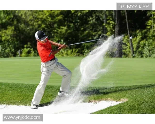 杨建平与赵仁杏的对决揭示了当代体育竞技的激烈与魅力