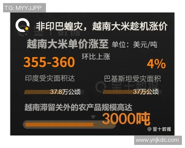 缅甸与越南军力对比分析探讨两国军事战略与发展现状